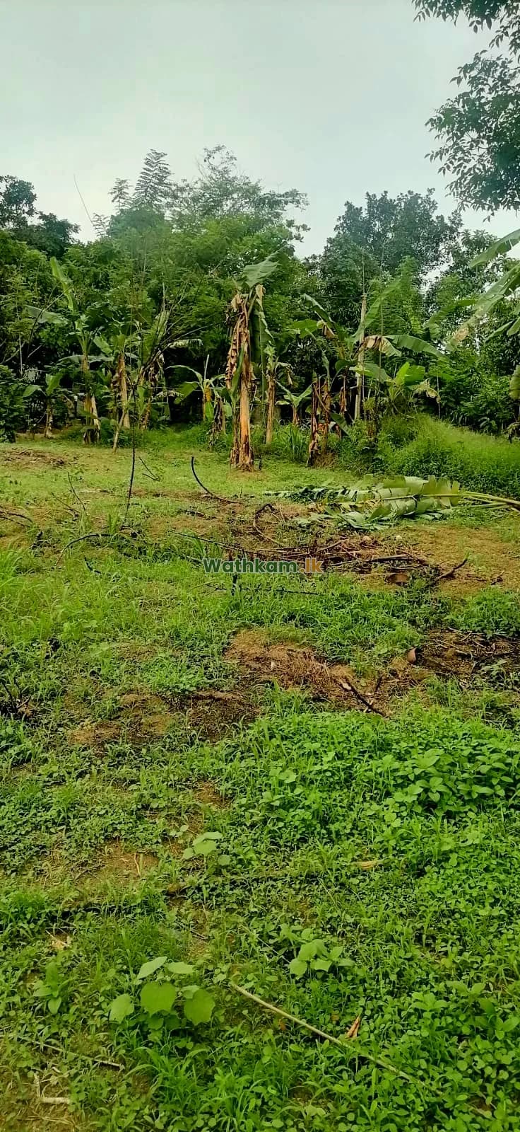 Land for sale in Nittambuwa, gampaha - 13.5 Perch Kurawalana, Pansilu uyana, Nittambuwa