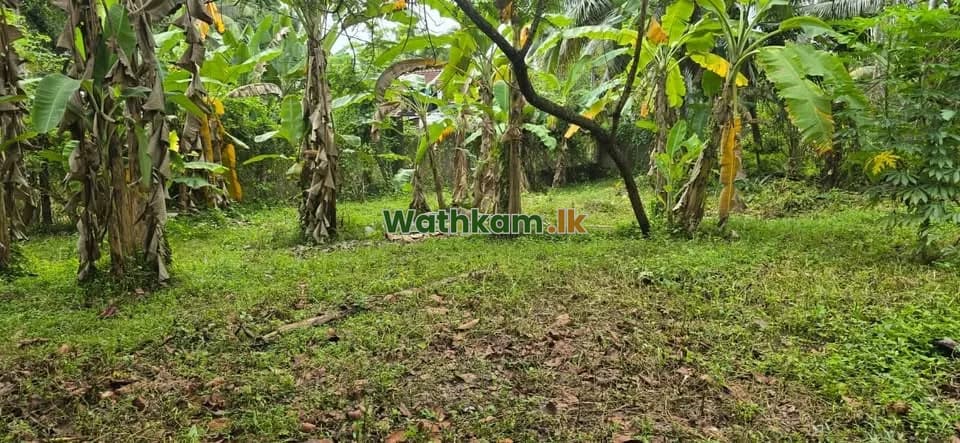Land for sale in Biyagama, gampaha - Land for sale in Biyagama