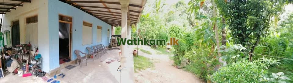 Land for sale in Kurunegala, kurunegala - කුරුණෑගල වැල්ලව ප්රදේශයේ පර්චස් 70ක ඉඩම සමඟ නිදන කාමර 3ක නිවසක් විකිණීමට