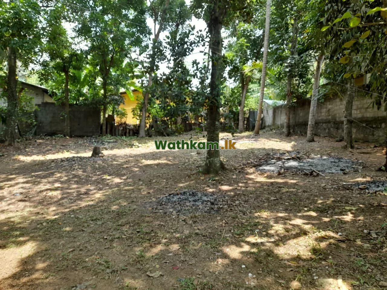 16 Perch square, flat land. Clear deed - photo 1