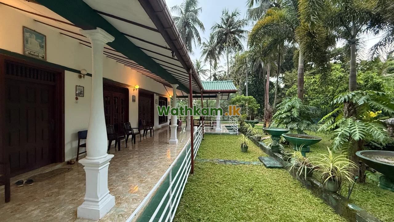 House for sale in Hingurakgoda, polonnaruwa - 🏡 වටිනා දේපළක් විකිණීමට – හිඟුරක්ගොඩ / මින්නේරිය 🌴 අක්කර 1.5ක පොල් ඉඩමක් සමඟ නිවසක්