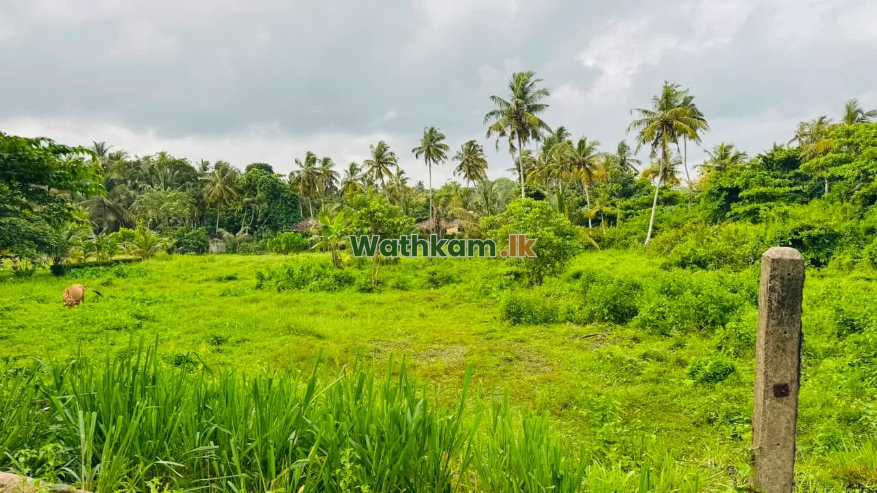 Land for sale in Ahangama, galle - 116 perch land for Sale in Ahangama