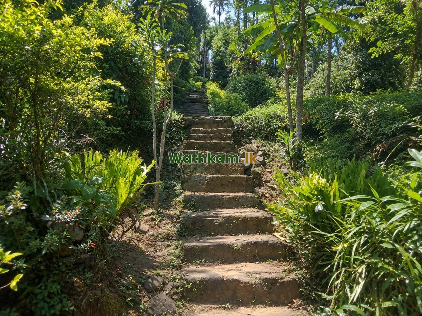 Land for sale in Nuwara Eliya, nuwara_eliya - 25 perch land for sale in rikillagaskada