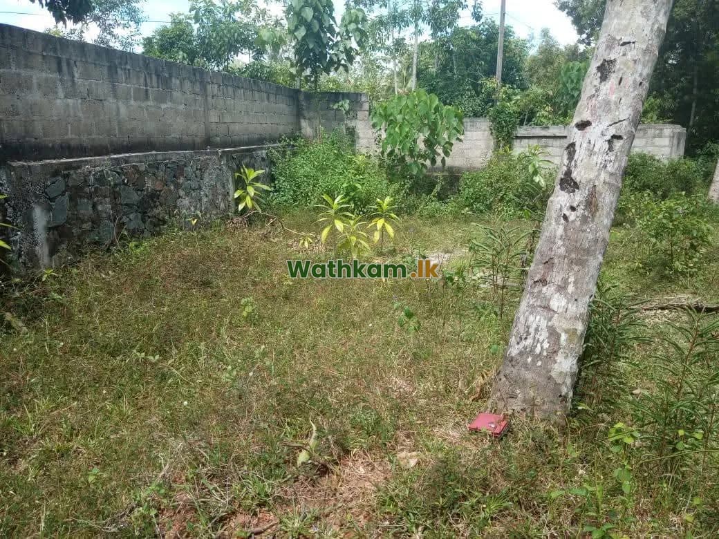 Land for sale in Galle City, galle - පර්චස් 14.5 ක හිස් ඉඩමක් විකිනීමට ඇත.
