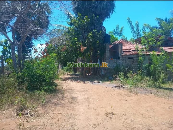 Land for sale in Arugam Bay, ampara - මුහුද ආසන්නයේ වටිනා ඉඩමක් විකිණීමට – පානම ,ආරුගම්බේ
