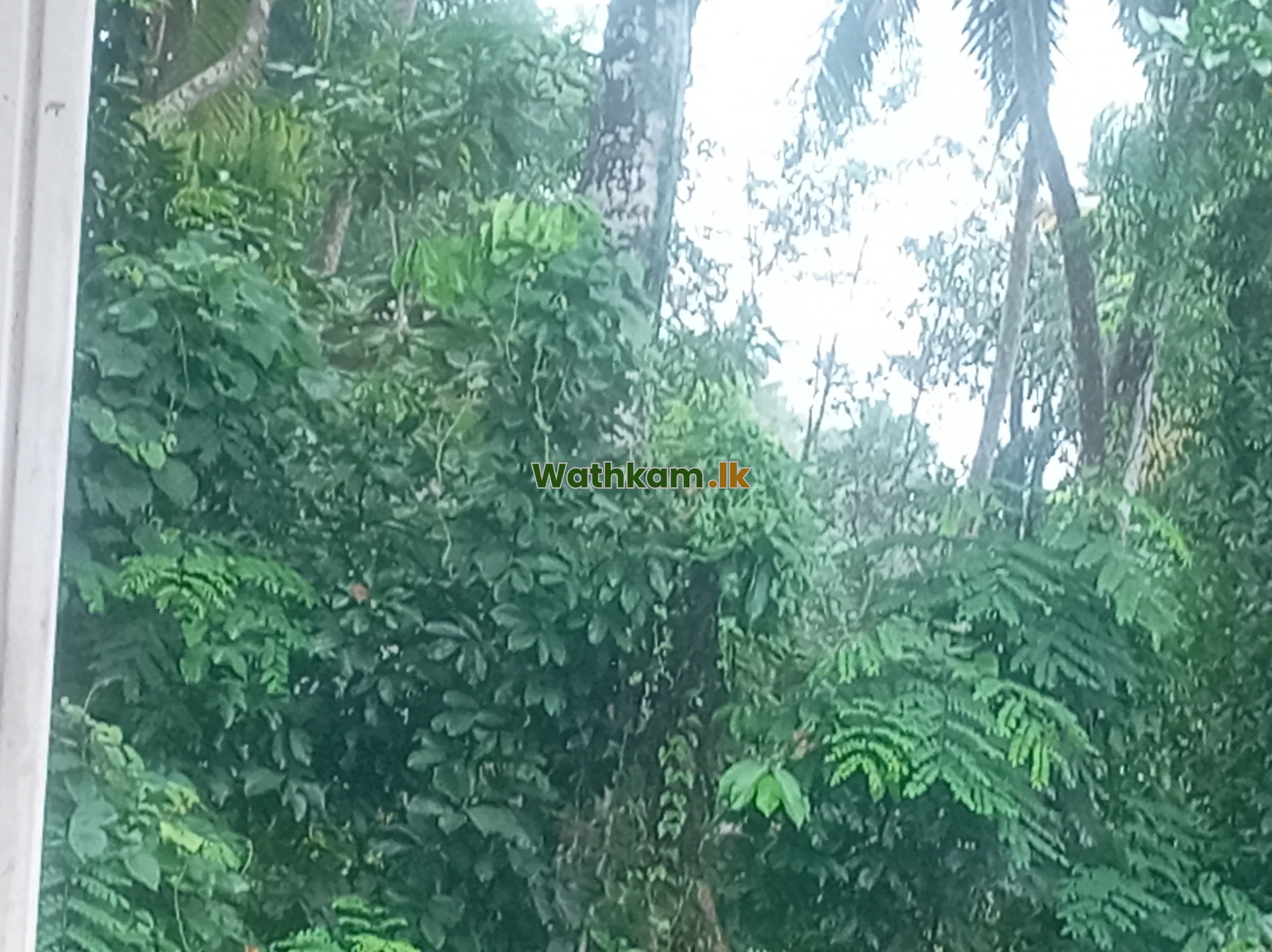 No 286/B keenagahawila kalatuwawa - photo 1