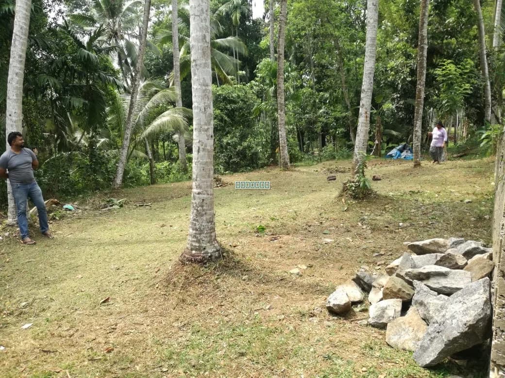 Land for sale in Homagama, colombo - 10 perch land in Prime location
